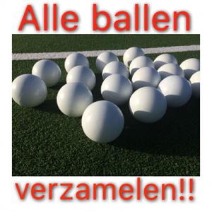 Zaalballen graag terug in de Ballenton in de hal Dank!